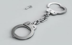 Житель Пензы выращивал коноплю для личного употребления