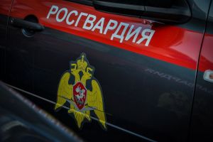 Двое пострадали в результате драки в пензенском ТЦ