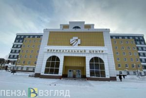 СК проводит проверку по факту происшествия у перинатального центра в Пензе