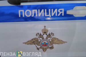 В Пензенской области гость прихватил чужую вещь и стал фигурантом уголовного дела