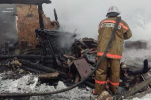 В утреннем пожаре в Пензенской области погиб мужчина