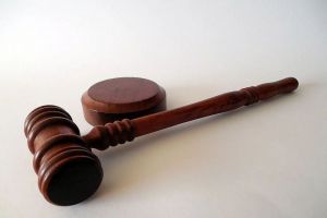 Фигурантам жестокого убийства пенсионерки в Пензенской области предъявят обвинение
