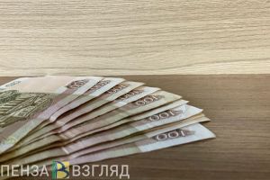 В Колышлейском районе гостья обворовала хозяина дома
