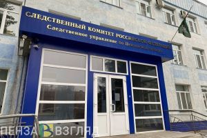 Появились фото с места жестокого убийства пенсионерки в Пензенской области