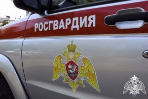 Пензенские росгвардейцы задержали мужчину, находившегося в розыске