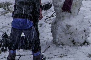 Соцсети: в Пензенской области слепили «пережившего пандемию» снеговика