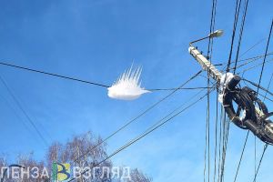 На проводах над тротуаром в центре Пензы зависла ледяная «птица»