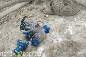 ГУ МЧС: при пожаре в Пензенской области пострадали несколько человек