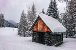 Мужчине из пензенского села грозит пять лет тюрьмы за кражу у пенсионера