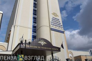В пензенском УМВД прокомментировали «избиение» человека, снятое на видео в Кузнецке
