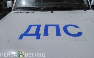 Два жителя Кузнецка применили насилие к сотрудникам ДПС