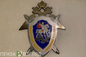 Пензенский СК сообщил подробности убийства женщины в селе Березовка