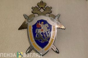 Жители Пензенской области могут помочь в поиске без вести пропавшей пенсионерки