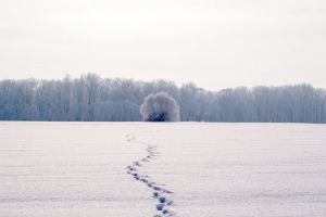 Пропавшего жителя Каменки нашли мертвым