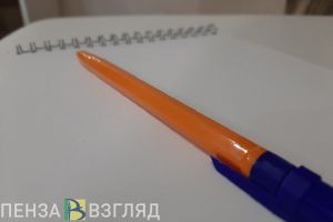 В Пензенской области расследуют дело о подставном лице