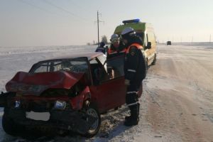 Пензенские спасатели извлекли двух пострадавших из искореженной машины