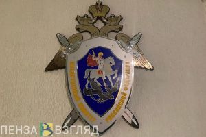 Названа предварительная причина смертельного пожара в Никольском районе