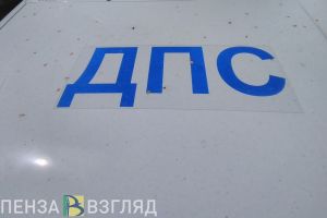 Более 30 пьяных водителей пойманы пензенскими госавтоинспекторами