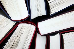В Пензенской области преступники добрались до книг