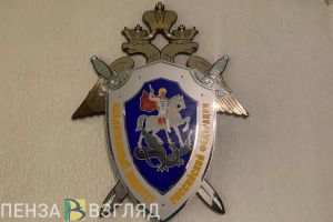Появились фото с места смертельного ночного пожара в Пензенском районе