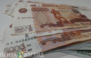 Житель Нижегородской области оставил пензячку без денег