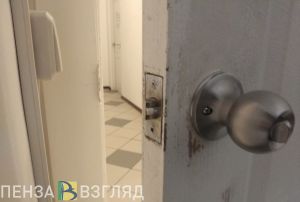 Двое жителей Пензенской области совершили кражу со взломом