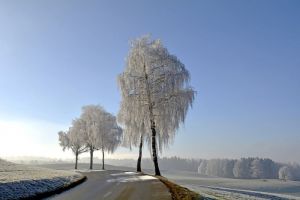 В Пензенской области приговорили водителя седельного тягача, по вине которого погибли три человека