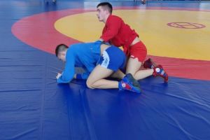 Более 270 спортсменов прибыли в Пензу на всероссийский турнир по самбо