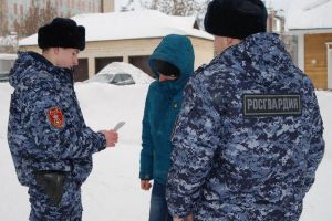 Пензенские росгвардейцы задержали мужчину, разбившего плафон возле административного здания