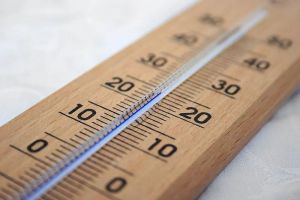 В Пензенской области потеплеет до +20 градусов