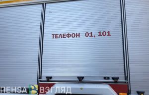 В Пензенской области за сутки шесть раз загоралась сухая трава