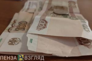 Зареченца обманули при покупке инвентаря для зимнего вида спорта