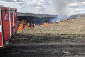 Спасатели ликвидировали пожар на поле под Пензой