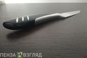 В Пензе мать причинила ножевое ранение дочери из-за претензий по поводу алкоголизма