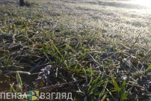 В Пензенской области ночью ожидаются заморозки