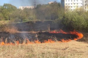 В Пензе потушили пожар около Арбековского пруда