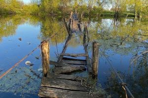 В Пензенской области показали экстремальный переход через водоем
