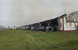 В Пензенской области потушили пожар в птичнике площадью 2 тыс. кв. метров