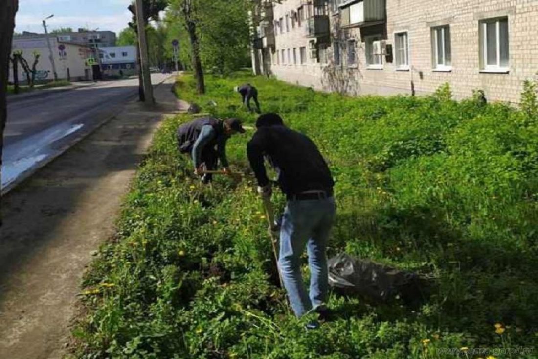 Первомайский районный пенза. Экология. Экология дома и на улице. Посадка деревьев администрация. Посадка деревьев в парке.