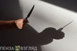 Суд в Пензенской области не поверил женщине, ударившей ножом в грудь сожителя