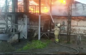 В Каменке более 20 человек тушили склад по хранению семечек подсолнечника