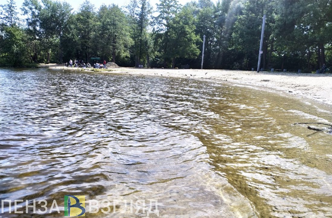 В Пензе к пляжному сезону подготовят семь зон отдыха у водоемов