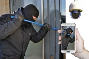 Две мотыги, ведро, топор. Двое пензенцев задержаны за кражу
