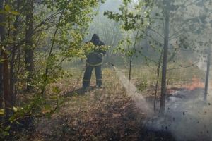 В Пензенском районе потушен пожар на кладбище