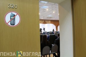 Иван Краснов будет работать в Гордуме Пензы безвозмездно