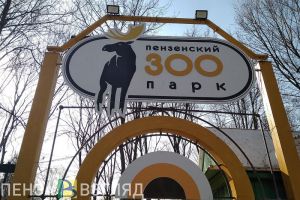 В пензенском правительстве назвали топ-5 самых интересных мест области