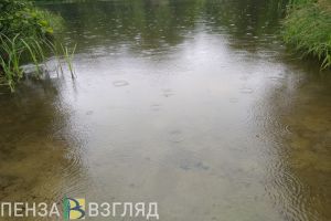В Пензе на глазах у свидетелей утонул мужчина