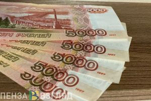 Житель Пензенской области хотел рыбачить запрещенным способом за взятку