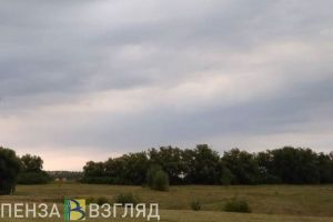 В Пензенской области нашли тело пропавшего в конце 2021 года жителя Нижнего Ломова