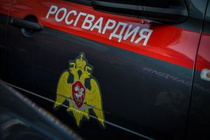 Пензенские росгвардейцы пресекли кражу на стройке